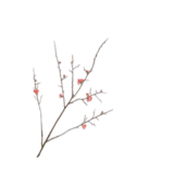 SILK-KA Bloesem Tak Beauty | 121 cm