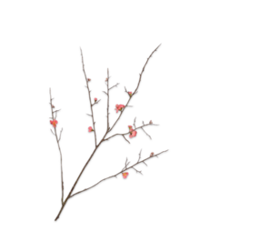 SILK-KA Bloesem Tak Roze | 121 cm SILK-KA Bloesem Tak Roze | 121 cm