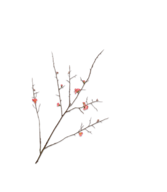 SILK-KA Ramo in fiore Bellezza | 121 cm