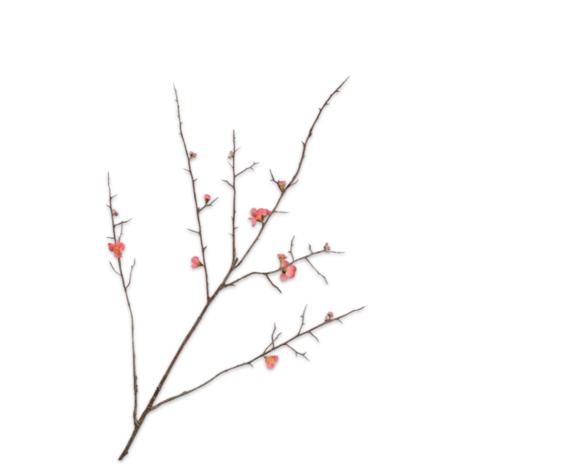 SILK-KA Rama de flor rosa | 121 cm