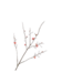 SILK-KA Branche fleurie Beauté | 121 cm
