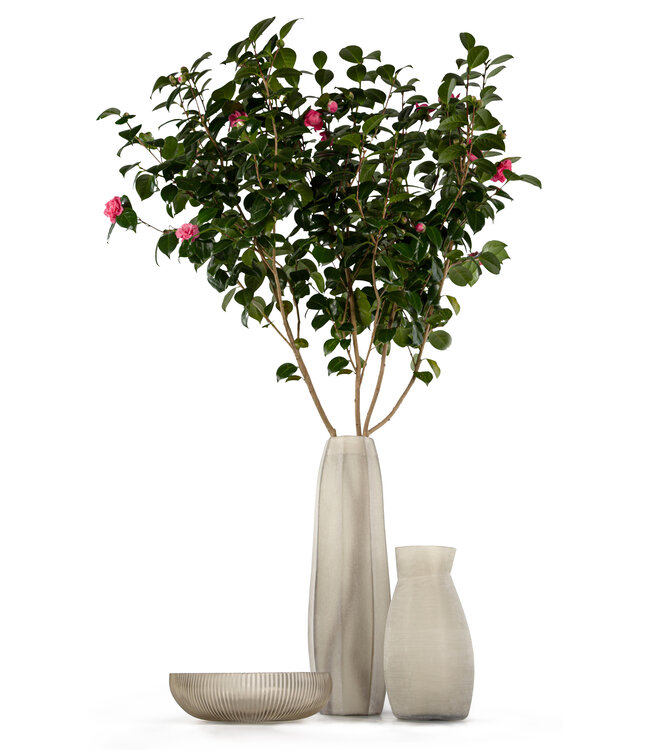 Guaxs Hohe Vase Koonam | Rauchgrau
