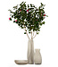Guaxs Koonam Tall Vase | Smokegrey