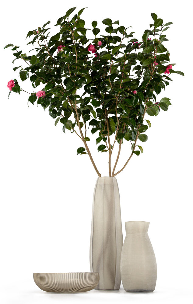 Guaxs Maggia Bowl M | Rauchgrau