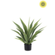 NU PUUR & GROEN Artificial plant for outdoor use - Agave 70 cm - UV-resistant NU PUUR & GROEN Artificial plant for outdoor use - Agave 70 cm - UV-resistant