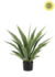 Kunstplant voor buiten - Agave 70 cm - UV-bestendig Kunstplant voor buiten - Agave 70 cm - UV-bestendig