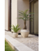 NU PUUR & GROEN Künstliche Pflanze für den Außenbereich – Agave 70 cm – UV-beständig