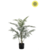 NU PUUR & GROEN Plante artificielle d'extérieur - Palmier Chameadorea 90 cm - Résistante aux UV