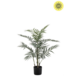 NU PUUR & GROEN Plante artificielle d'extérieur - Palmier Chameadorea 90 cm - Résistante aux UV