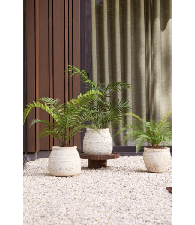 NU PUUR & GROEN Artificial plant for outdoor use - Palm Chameadorea 90 cm - UV-resistant