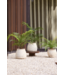 NU PUUR & GROEN Planta artificial para exterior - Palmera Chameadorea 90 cm - Resistente a los rayos UV