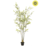 NU PUUR & GROEN Kunstig plante for utendørs bruk - Bambus 175 cm - UV-bestandig