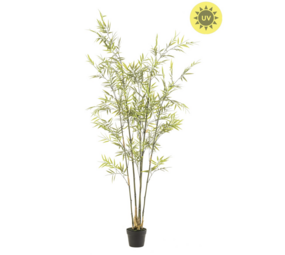 NU PUUR & GROEN Planta artificial de exterior - Bambú 175 cm - Resistente a los rayos UV
