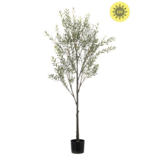 NU PUUR & GROEN Plante artificielle d'extérieur - Olivier de 175 cm - Résistant aux UV