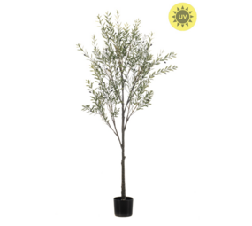 NU PUUR & GROEN Artificial plant for outdoor use - Olive tree 175 cm - UV-resistant