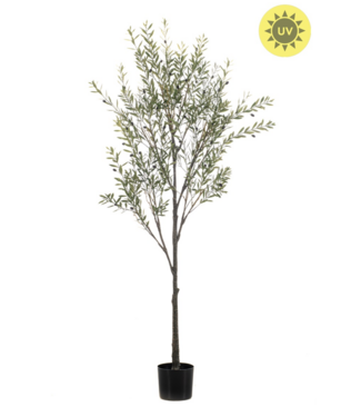 NU PUUR & GROEN Plante artificielle d'extérieur - Olivier de 175 cm - Résistant aux UV