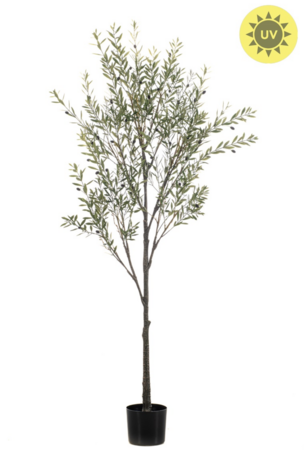 NU PUUR & GROEN Künstliche Pflanze für den Außenbereich – Olivenbaum 175 cm – UV-beständig
