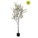NU PUUR & GROEN Plante artificielle d'extérieur - Olivier de 175 cm - Résistant aux UV