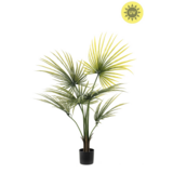 NU PUUR & GROEN Pianta artificiale per esterni - Palma Washingtonia 100 cm - Resistente ai raggi UV