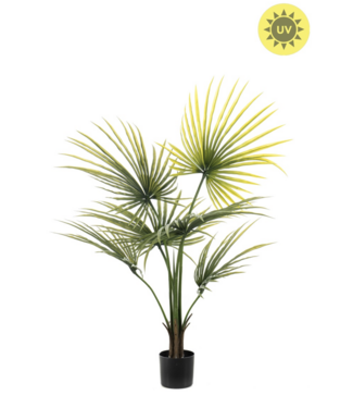 NU PUUR & GROEN Künstliche Pflanze für den Außenbereich – Washingtonia-Palme, 100 cm – UV-beständig