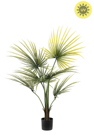 NU PUUR & GROEN Kunstig plante for utendørs bruk - Palme Washingtonia 100 cm - UV-bestandig
