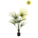 NU PUUR & GROEN Pianta artificiale per esterni - Palma Washingtonia 100 cm - Resistente ai raggi UV