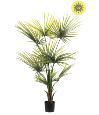 NU PUUR & GROEN Pianta artificiale per esterni - Palma Washingtonia 120 cm - Resistente ai raggi UV
