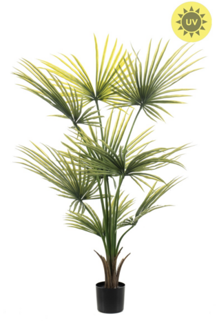 NU PUUR & GROEN Artificial plant for outdoor use - Palm Washingtonia 120 cm - UV-resistant