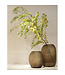 Guaxs Vaas Patara Tall | Clear / Smokegrey