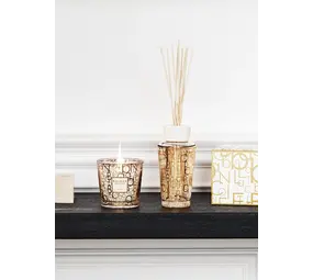 Baobab Collection Mon premier baobab | Coffret cadeau Aurum