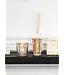 Baobab Collection Mon premier baobab | Coffret cadeau Aurum