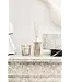 Baobab Collection Min første baobab | Platina gaveeske