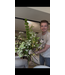 NU PUUR & GROEN Künstlicher Blumenstrauß „März-Special“
