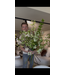 NU PUUR & GROEN Ramo de flores artificiales "Especial de Marzo"