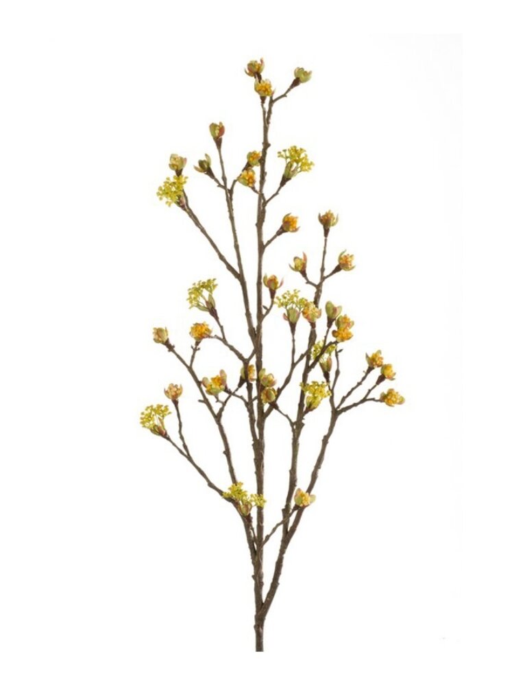 NU PUUR & GROEN Maple Branch Yellow | 110 cm