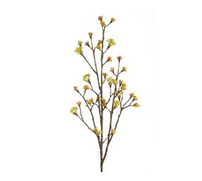 NU PUUR & GROEN Maple Branch Yellow | 110 cm
