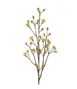 NU PUUR & GROEN Rama de arce amarilla | 110 cm