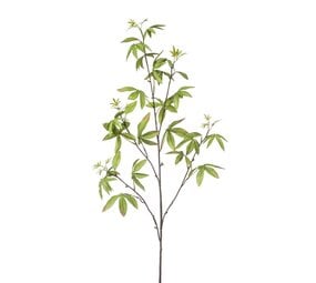 NU PUUR & GROEN Schefflera Tak Groen | 117 cm
