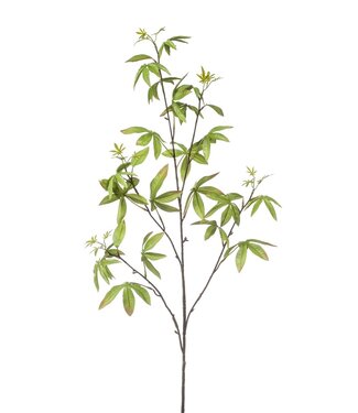 NU PUUR & GROEN Schefflera Branch Green | 117 cm