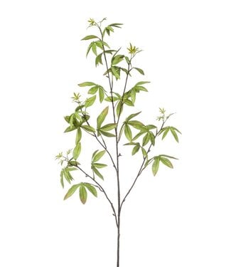 NU PUUR & GROEN Schefflera Tak Groen | 117 cm