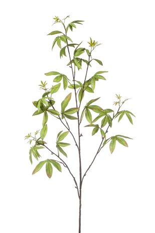 NU PUUR & GROEN Branche de Schefflera Verte | 117 cm