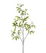 NU PUUR & GROEN Rama de Schefflera Verde | 117 cm