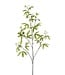 NU PUUR & GROEN Schefflera Tak Groen | 117 cm