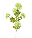 NU PUUR & GROEN Rama de bola de nieve verde | 85 cm