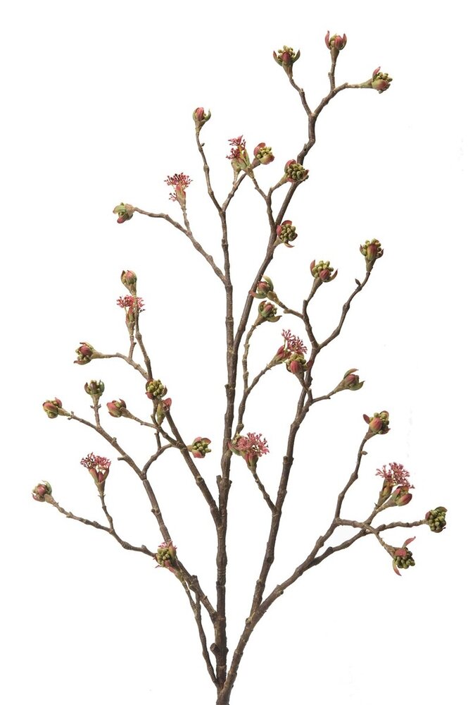 NU PUUR & GROEN Lønnegren Burgunder/Grønn | 110 cm NU PUUR & GROEN Lønnegren Burgunder/Grønn | 110 cm