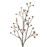 NU PUUR & GROEN Branche d'érable bordeaux/vert | 110 cm