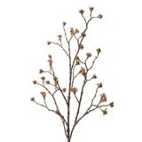 NU PUUR & GROEN Esdoorn Tak Burgundy/Groen | 110 cm