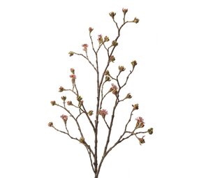 NU PUUR & GROEN Lønnegren Burgunder/Grønn | 110 cm