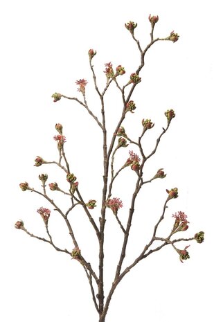 NU PUUR & GROEN Lønnegren Burgunder/Grønn | 110 cm NU PUUR & GROEN Lønnegren Burgunder/Grønn | 110 cm