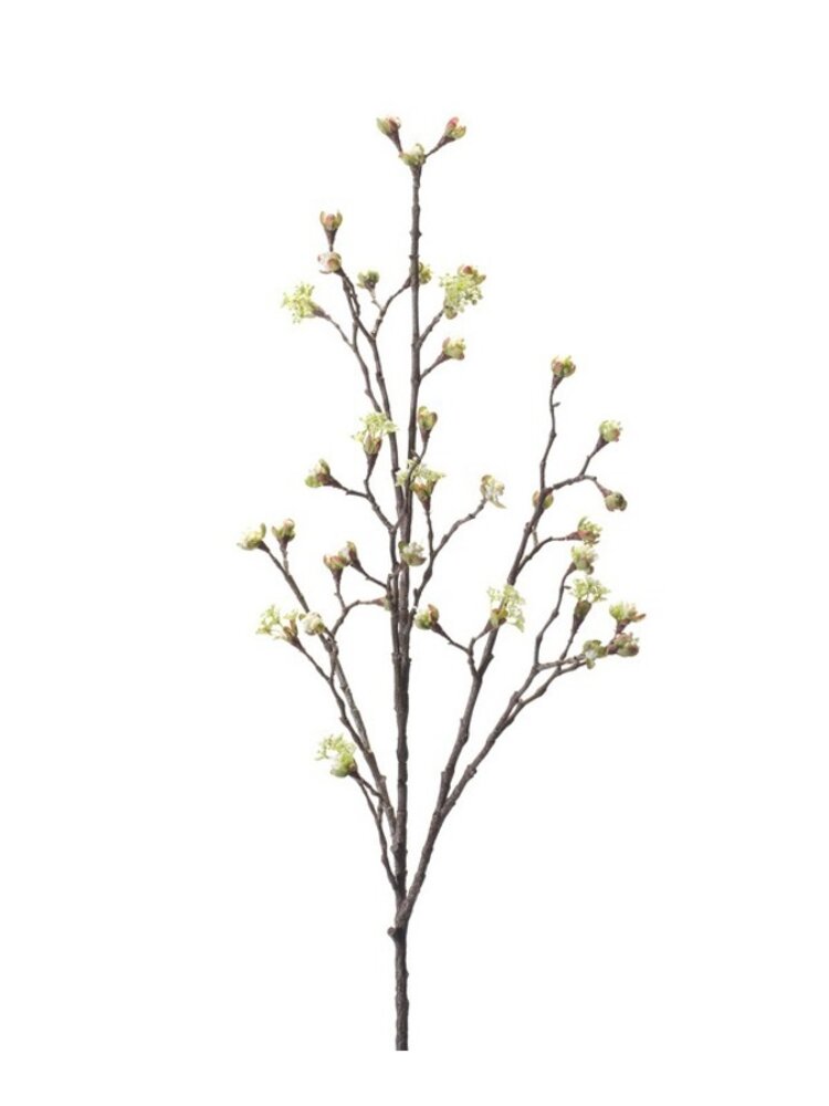 NU PUUR & GROEN Ramo d'acero crema | 110 cm